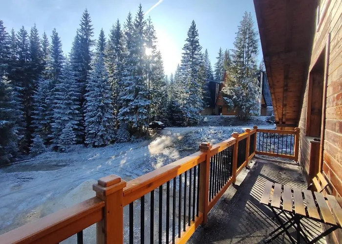 Pahulja * 亚霍里纳